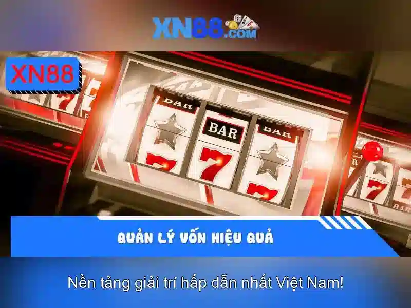 Giai thich xn88 la gi