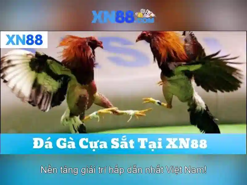 xn88: Tổng quan, lịch sử và tác động trên thị trường trực tuyến