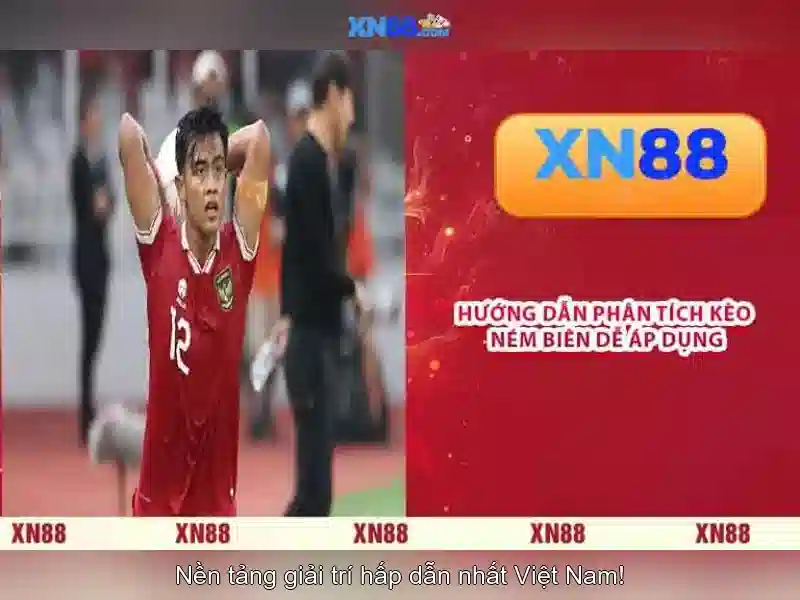 Lịch sử và tầm nhìn