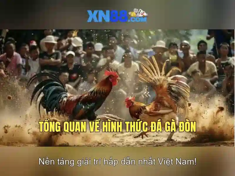 Phương thức thanh toán và khuyến mãi