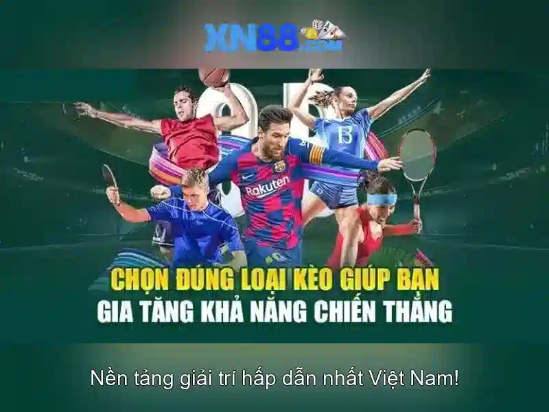 Tổng quan về xn88 và những điều cần biết