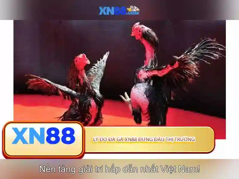 Tính năng nổi bật của xn88