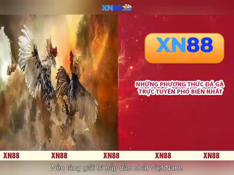 Quy tắc và trách nhiệm người chơi