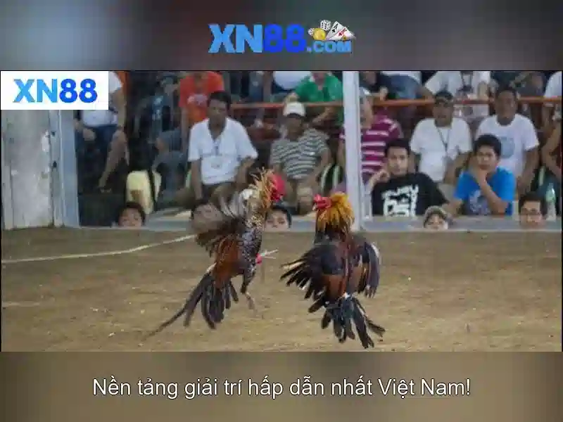 An toàn và bảo mật