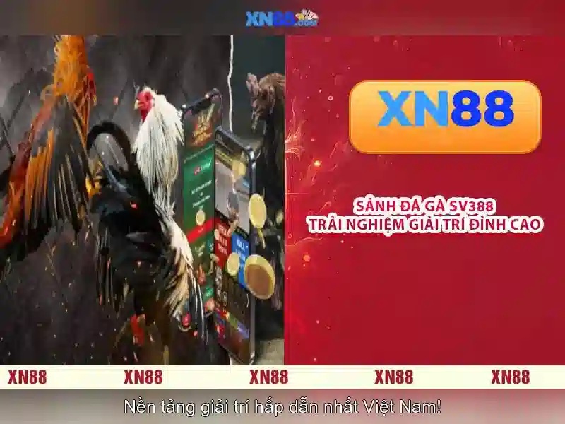 xn88: Tổng quan về thương hiệu và cộng đồng