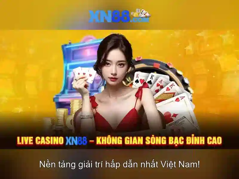 Các tính năng chính của XN88