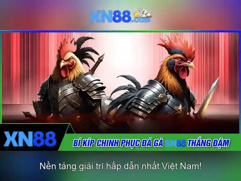 Hướng dẫn tham gia