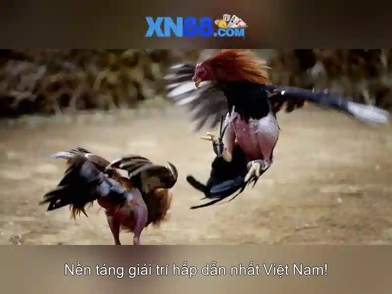 xn88 - Nền tảng chơi game trực tuyến và hành trình của nó