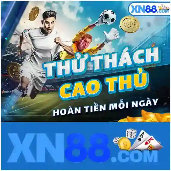 Vũ Minh Nguyên - The Junk Drawer with Random Joe