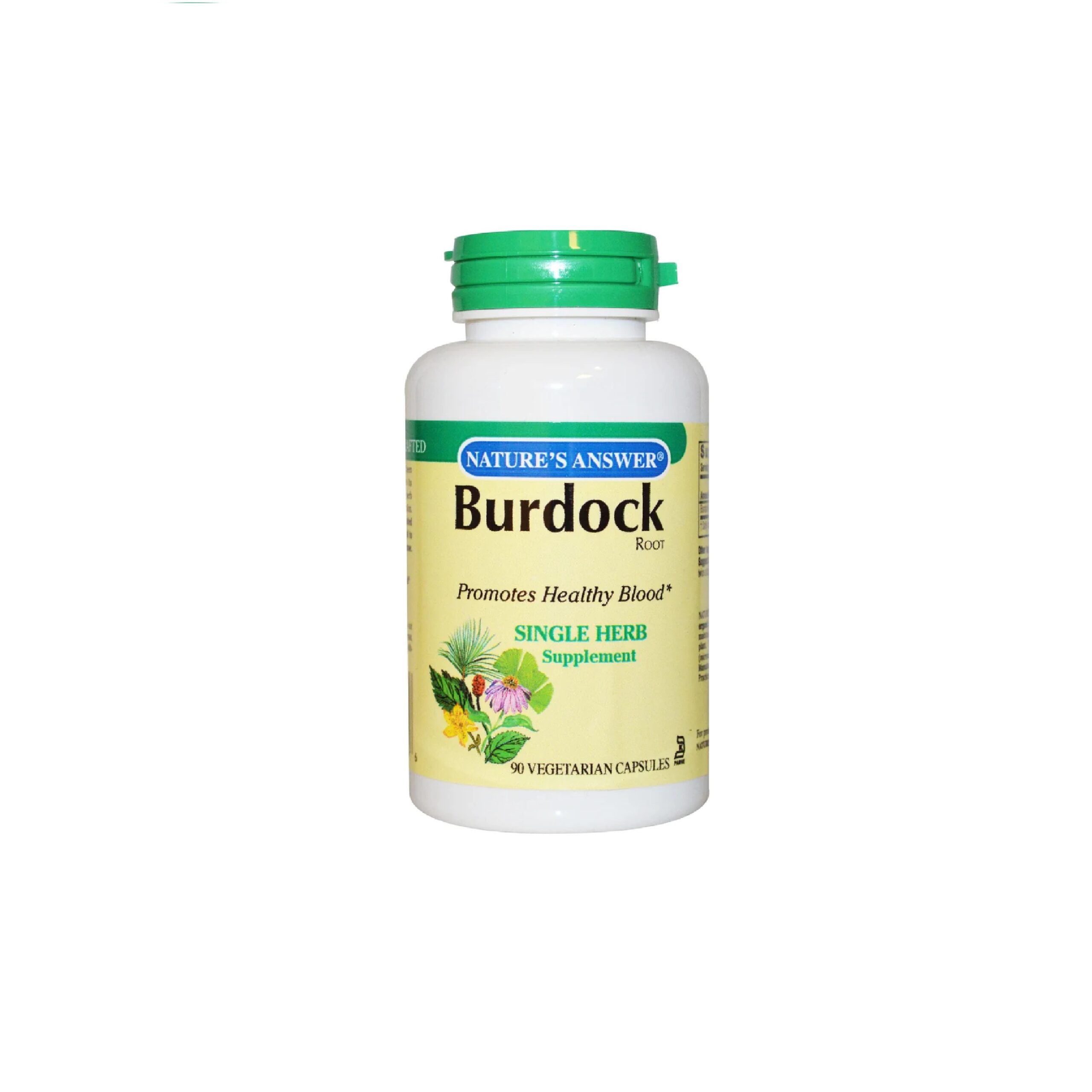 Benefits of Burdock Supplements